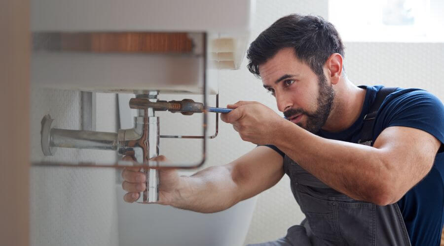 Trap Repair/Replacement in Dale, IL